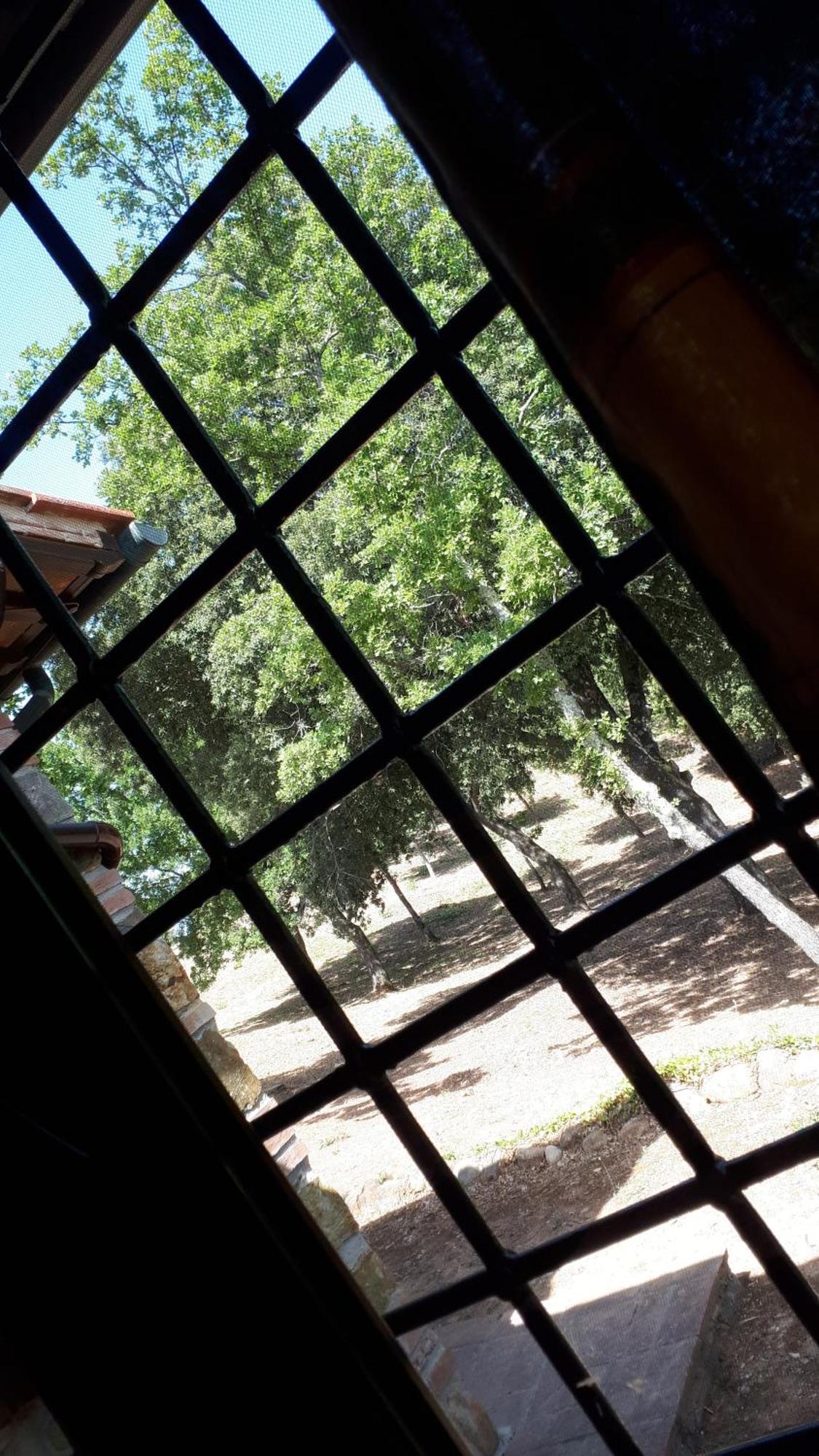 מאסה מריטימה Agriturismo Podere San Lorenzo 1866 מראה חיצוני תמונה