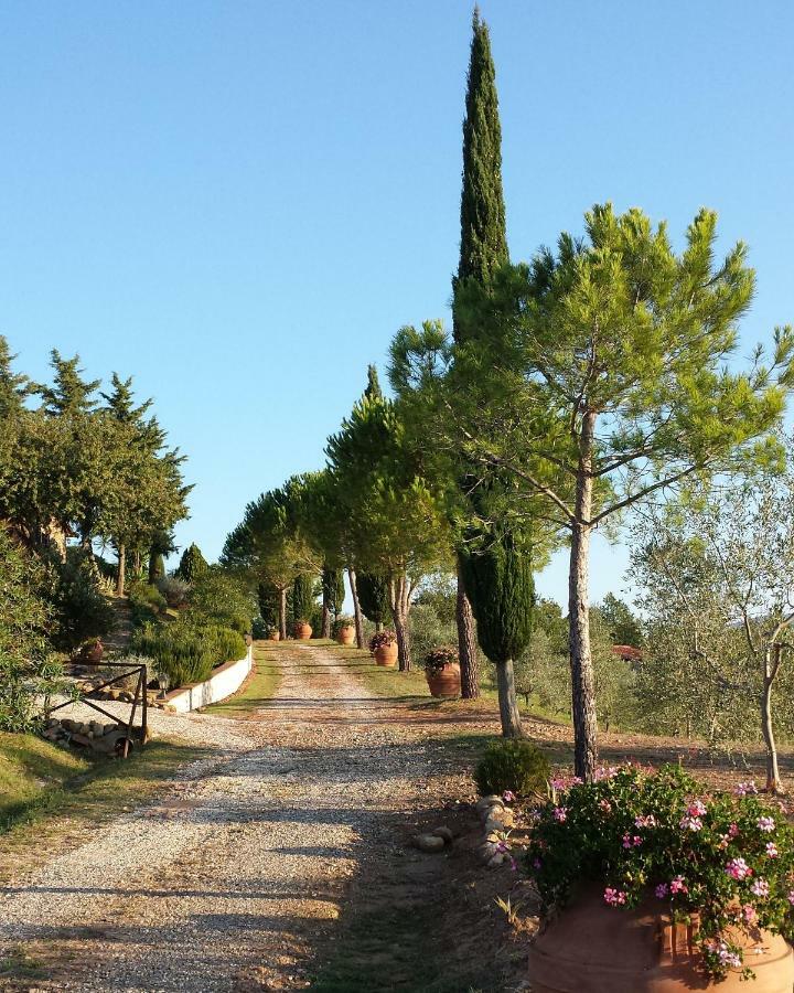מאסה מריטימה Agriturismo Podere San Lorenzo 1866 מראה חיצוני תמונה