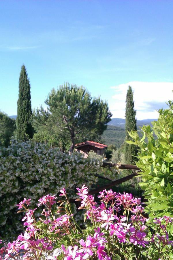 מאסה מריטימה Agriturismo Podere San Lorenzo 1866 מראה חיצוני תמונה