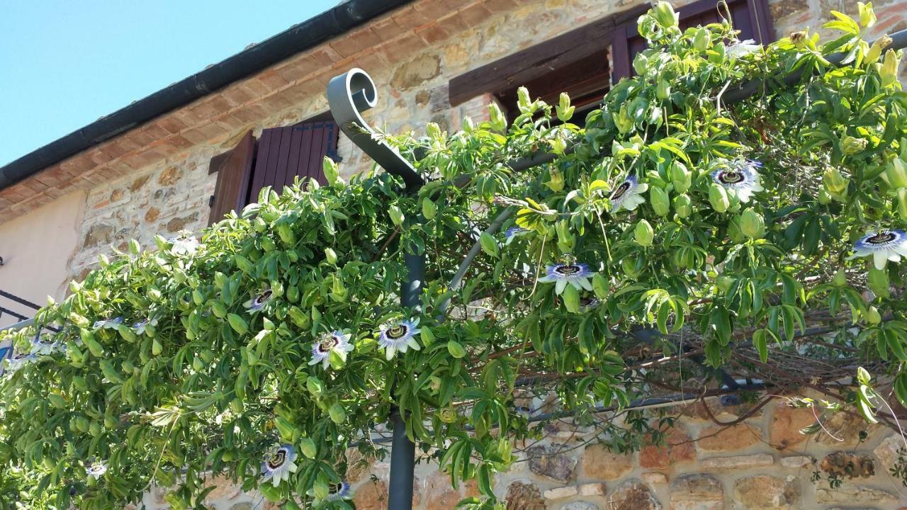 מאסה מריטימה Agriturismo Podere San Lorenzo 1866 מראה חיצוני תמונה