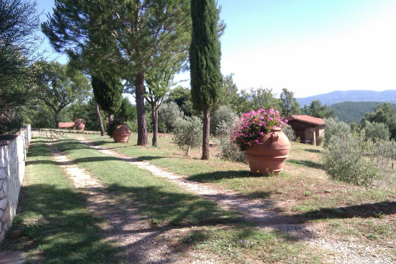 מאסה מריטימה Agriturismo Podere San Lorenzo 1866 מראה חיצוני תמונה