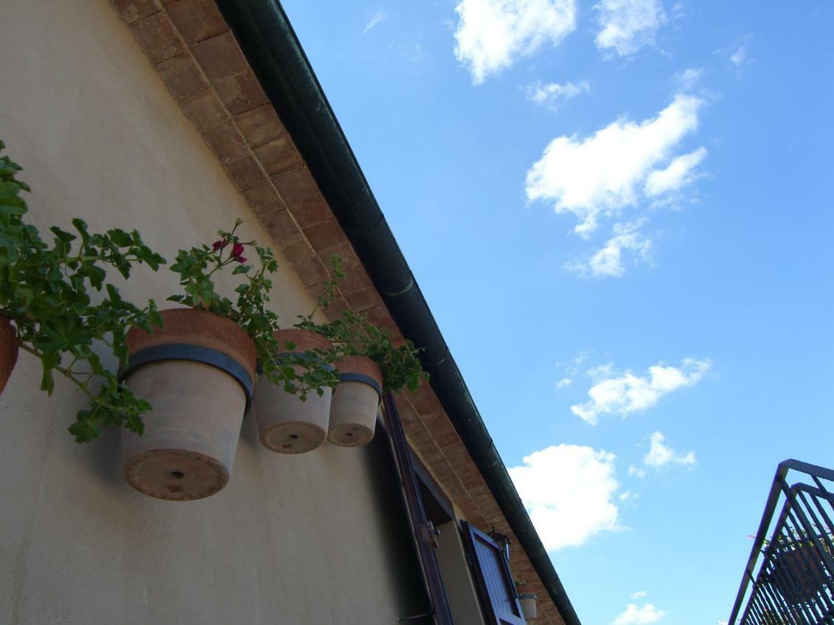 מאסה מריטימה Agriturismo Podere San Lorenzo 1866 מראה חיצוני תמונה