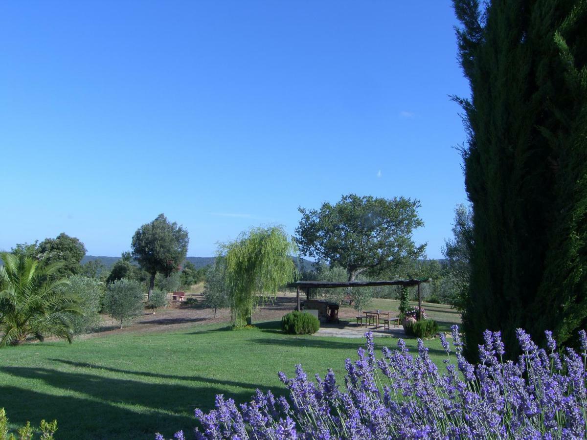 מאסה מריטימה Agriturismo Podere San Lorenzo 1866 מראה חיצוני תמונה